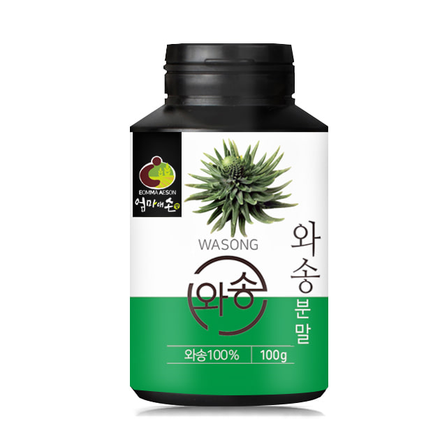 와송 분말 1통 100g