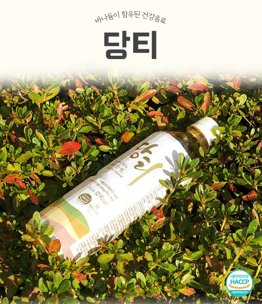 당티 500ml x 12병